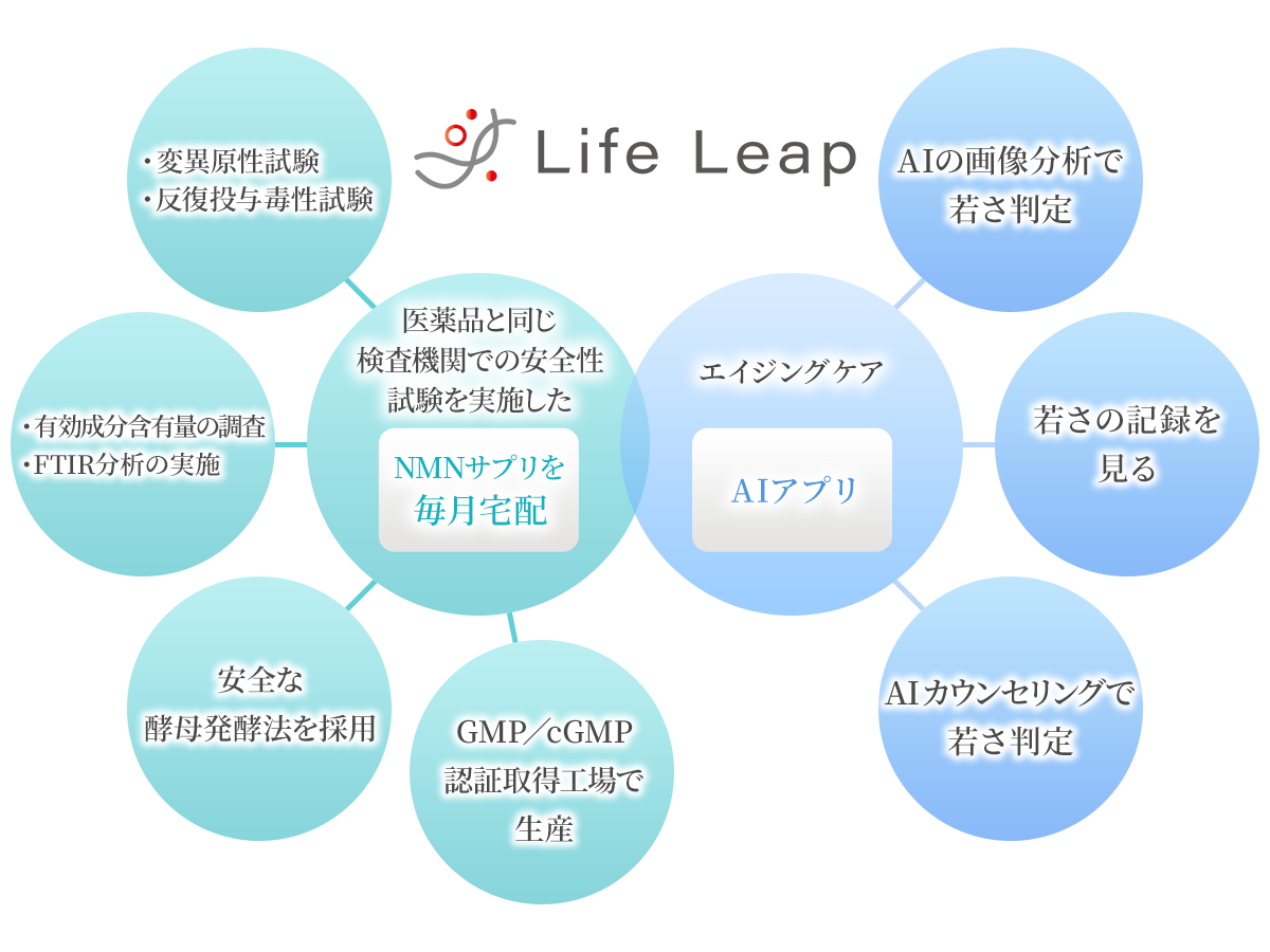 Life Leapサービス説明